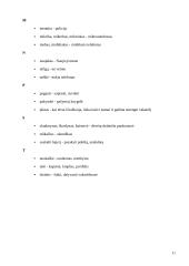 Slengas, žargonybės arba šneka, kuria mes kalbame 11 puslapis