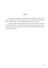 Slengas, žargonybės arba šneka, kuria mes kalbame 12 puslapis