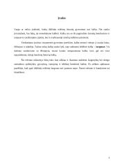 Slengas, žargonybės arba šneka, kuria mes kalbame 3 puslapis