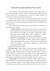 Slengas, žargonybės arba šneka, kuria mes kalbame 5 puslapis