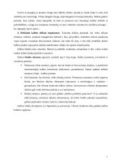 Slengas, žargonybės arba šneka, kuria mes kalbame 7 puslapis