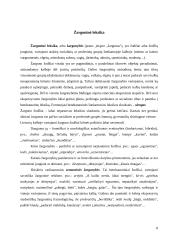 Slengas, žargonybės arba šneka, kuria mes kalbame 8 puslapis