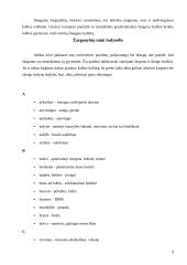 Slengas, žargonybės arba šneka, kuria mes kalbame 9 puslapis