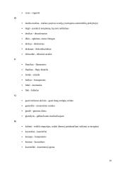 Slengas, žargonybės arba šneka, kuria mes kalbame 10 puslapis