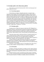 Slovakijos pagrindiniai makroekonominiai rodikliai 11 puslapis