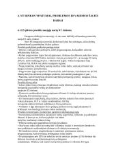 Slovakijos pagrindiniai makroekonominiai rodikliai 20 puslapis