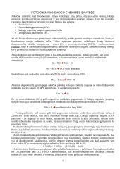 Smogų tipai ir šaltiniai 5 puslapis