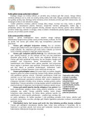 Smogų tipai ir šaltiniai 6 puslapis