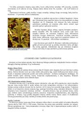 Smogų tipai ir šaltiniai 8 puslapis