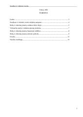 Smulkaus ir vidutinio verslo būklė 2 puslapis