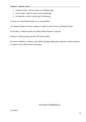 Smulkaus ir vidutinio verslo būklė 13 puslapis