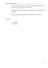 Smulkaus ir vidutinio verslo būklė 14 puslapis