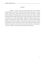 Smulkaus ir vidutinio verslo būklė 3 puslapis