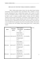 Smulkaus ir vidutinio verslo būklė 4 puslapis