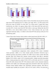 Smulkaus ir vidutinio verslo būklė 6 puslapis