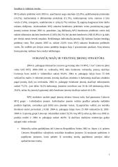 Smulkaus ir vidutinio verslo būklė 7 puslapis