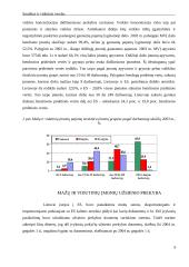 Smulkaus ir vidutinio verslo būklė 9 puslapis