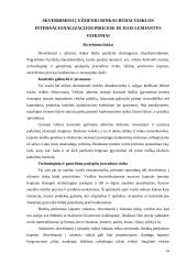 Smulkaus ir vidutinio verslo internacionalizacijos procesai 14 puslapis