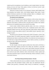 Smulkaus ir vidutinio verslo internacionalizacijos procesai 15 puslapis