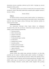 Smulkaus ir vidutinio verslo internacionalizacijos procesai 16 puslapis