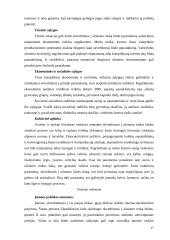 Smulkaus ir vidutinio verslo internacionalizacijos procesai 17 puslapis