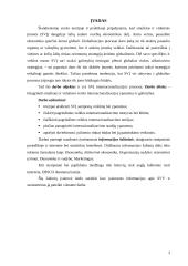 Smulkaus ir vidutinio verslo internacionalizacijos procesai 3 puslapis