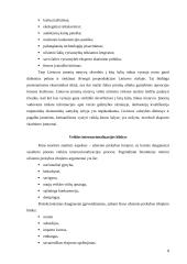 Smulkaus ir vidutinio verslo internacionalizacijos procesai 8 puslapis