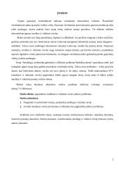 Smulkaus ir vidutinio verslo plėtros problemos 2 puslapis