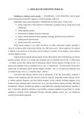 Smulkaus ir vidutinio verslo plėtros problemos 3 puslapis