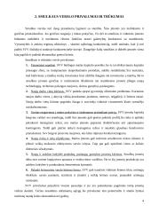 Smulkaus ir vidutinio verslo plėtros problemos 4 puslapis