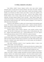 Smulkaus ir vidutinio verslo plėtros problemos 6 puslapis