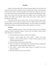 Smulkaus ir vidutinio verslo plėtros problemos 9 puslapis