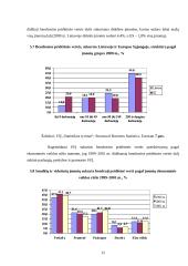 Smulkaus ir vidutinio verslo vieta šalies ūkinėje sistemoje 12 puslapis