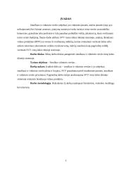 Smulkaus ir vidutinio verslo vieta šalies ūkinėje sistemoje 3 puslapis