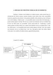 Smulkaus ir vidutinio verslo vieta šalies ūkinėje sistemoje 4 puslapis