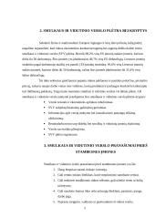 Smulkaus ir vidutinio verslo vieta šalies ūkinėje sistemoje 5 puslapis