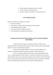 Smulkaus ir vidutinio verslo vieta šalies ūkinėje sistemoje 6 puslapis