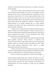 Smulkaus verslo vaidmuo šiuolaikinėje Lietuvos ekonomikoje 13 puslapis