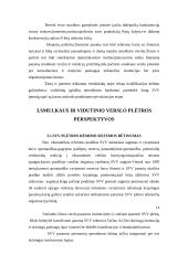 Smulkaus verslo vaidmuo šiuolaikinėje Lietuvos ekonomikoje 14 puslapis