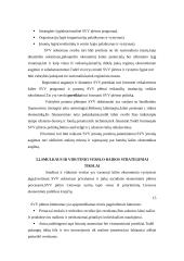 Smulkaus verslo vaidmuo šiuolaikinėje Lietuvos ekonomikoje 15 puslapis