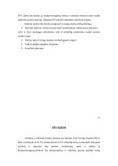 Smulkaus verslo vaidmuo šiuolaikinėje Lietuvos ekonomikoje 17 puslapis