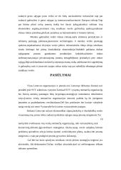 Smulkaus verslo vaidmuo šiuolaikinėje Lietuvos ekonomikoje 18 puslapis