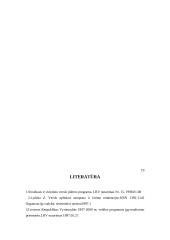 Smulkaus verslo vaidmuo šiuolaikinėje Lietuvos ekonomikoje 19 puslapis
