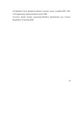 Smulkaus verslo vaidmuo šiuolaikinėje Lietuvos ekonomikoje 20 puslapis