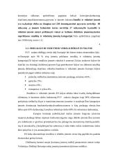 Smulkaus verslo vaidmuo šiuolaikinėje Lietuvos ekonomikoje 4 puslapis