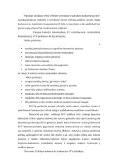 Smulkaus verslo vaidmuo šiuolaikinėje Lietuvos ekonomikoje 5 puslapis