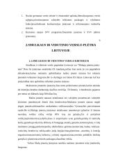 Smulkaus verslo vaidmuo šiuolaikinėje Lietuvos ekonomikoje 6 puslapis