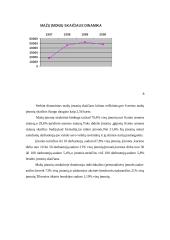Smulkaus verslo vaidmuo šiuolaikinėje Lietuvos ekonomikoje 8 puslapis