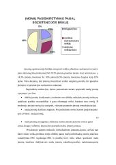 Smulkaus verslo vaidmuo šiuolaikinėje Lietuvos ekonomikoje 10 puslapis