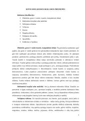 Smulkiosios reklamos priemonės 2 puslapis